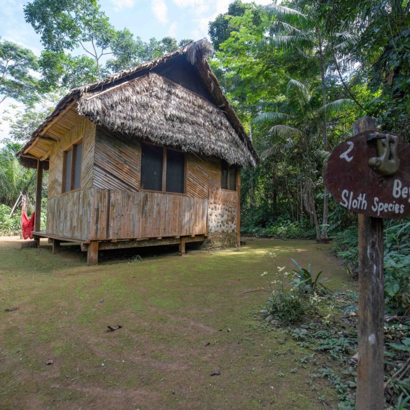 Ecolodge San Miguel del Bala 3