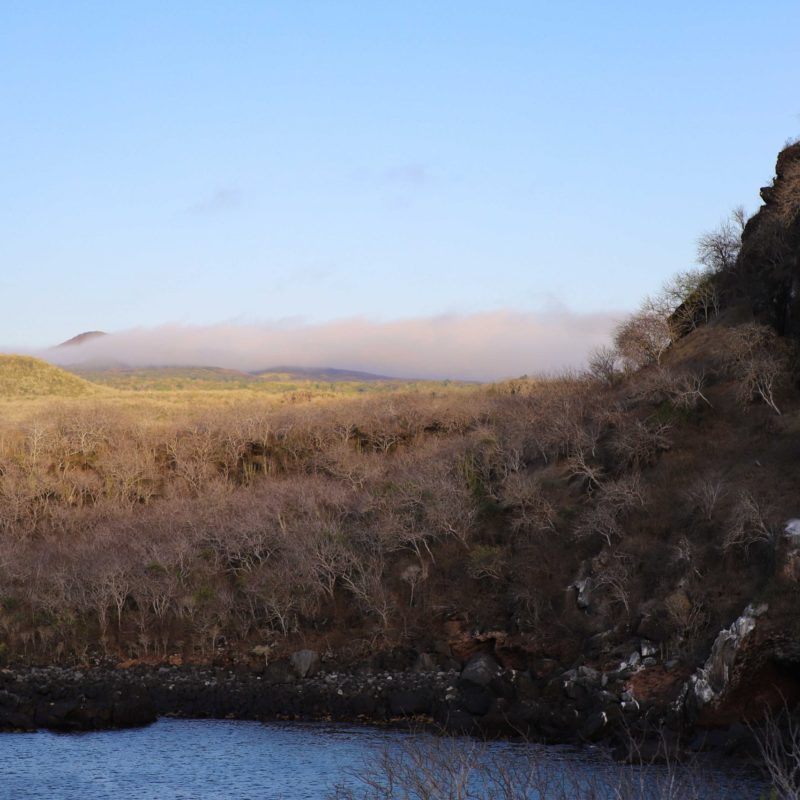 Galapagos 11