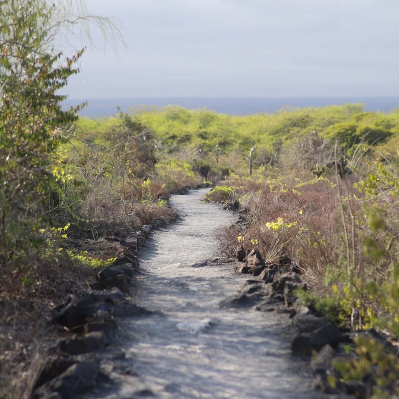 Galapagos 17