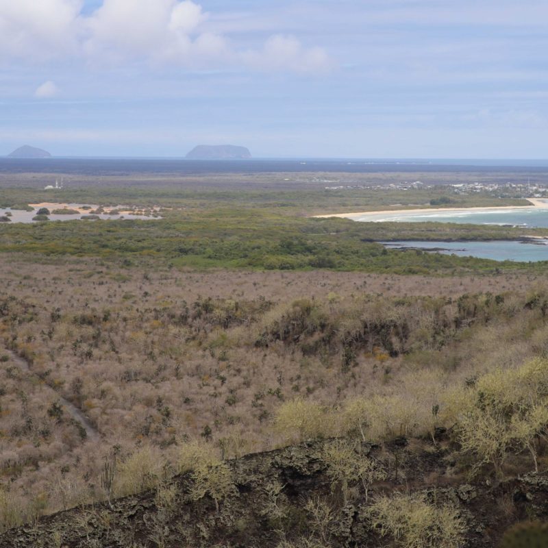 Galapagos 19