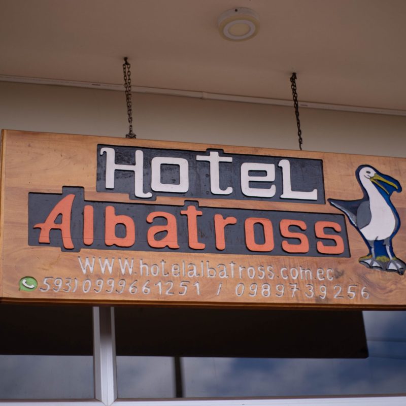 Hotel Albatross 1